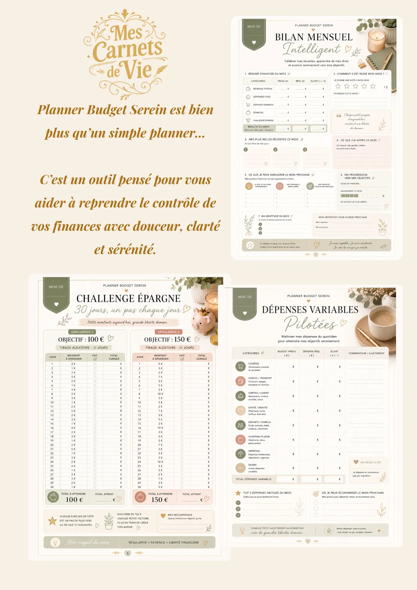 Planner Budget Serein à télécharger